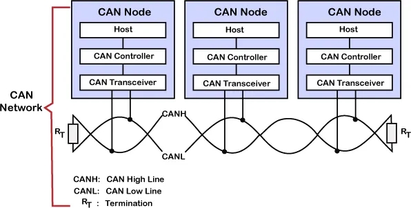 11.webp (1).jpg