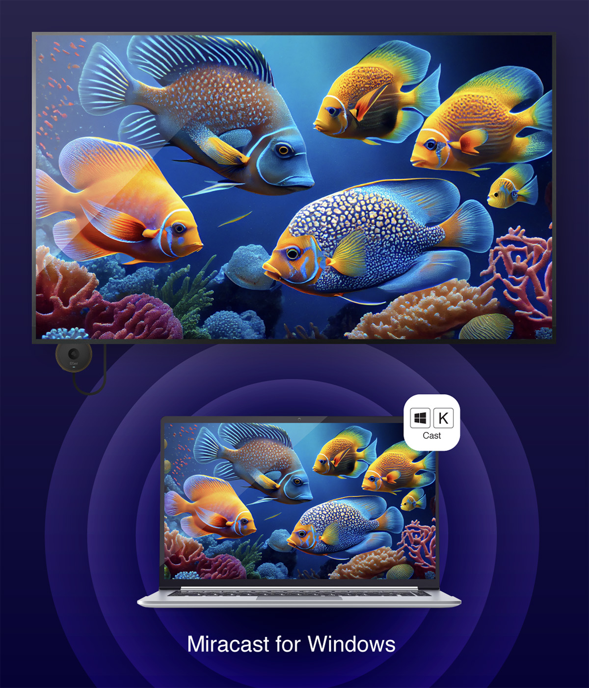ezcast dlna